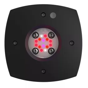 Aqua Illumination Prime 16 LED Fuge Light Black Body