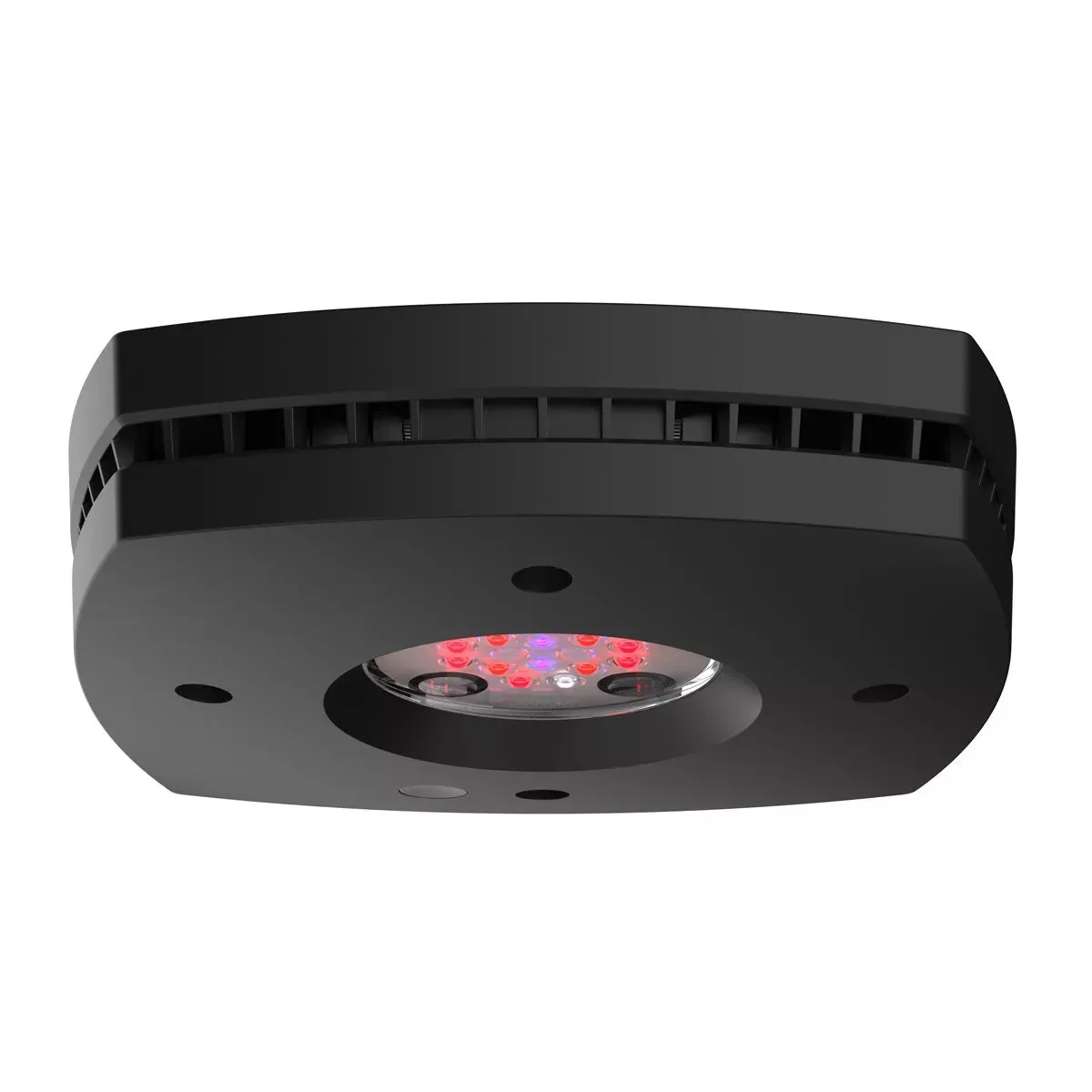 Aqua Illumination Prime 16 LED Fuge Light Black Body