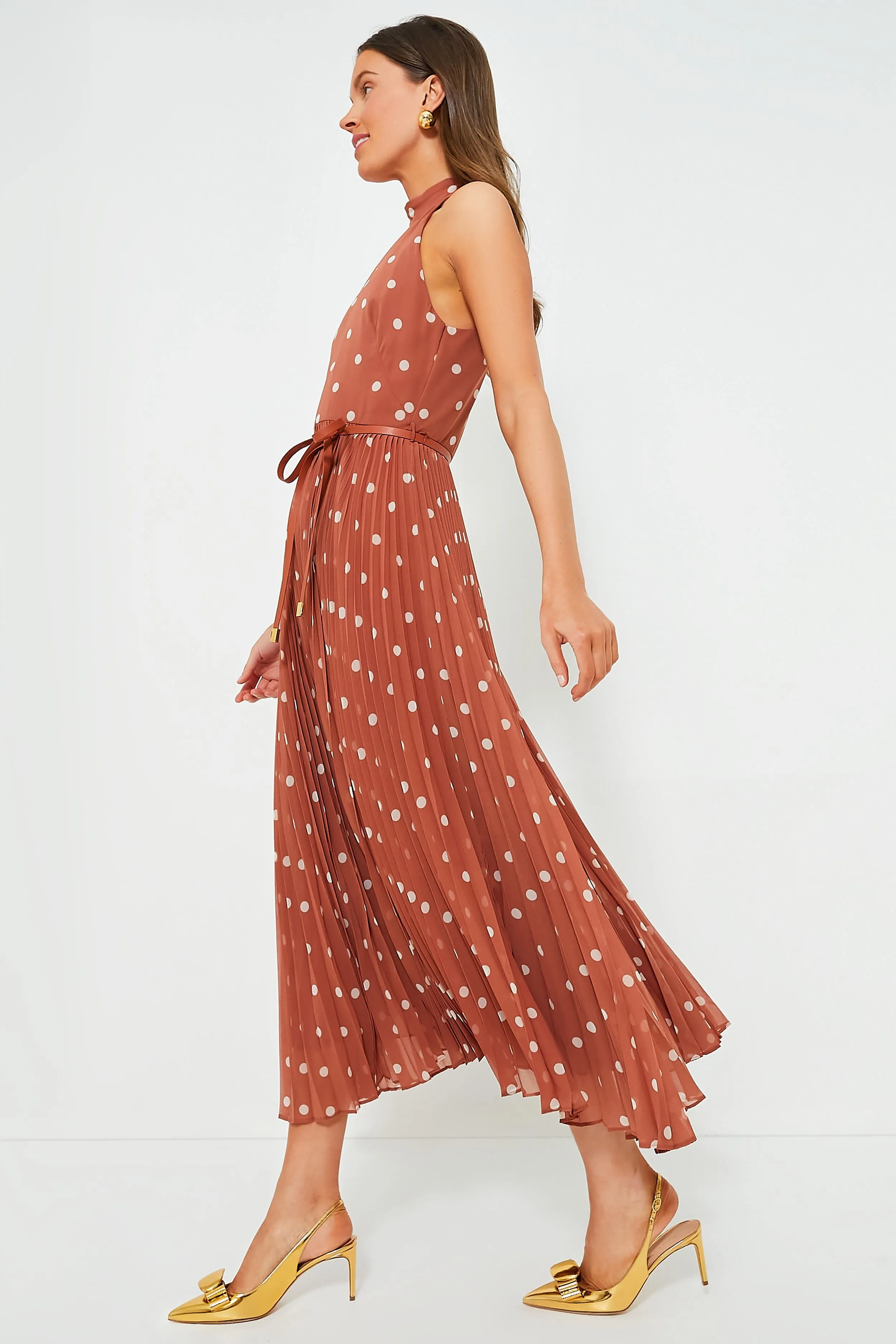 Aragon and Cream Dot Sunray Picnic Dress