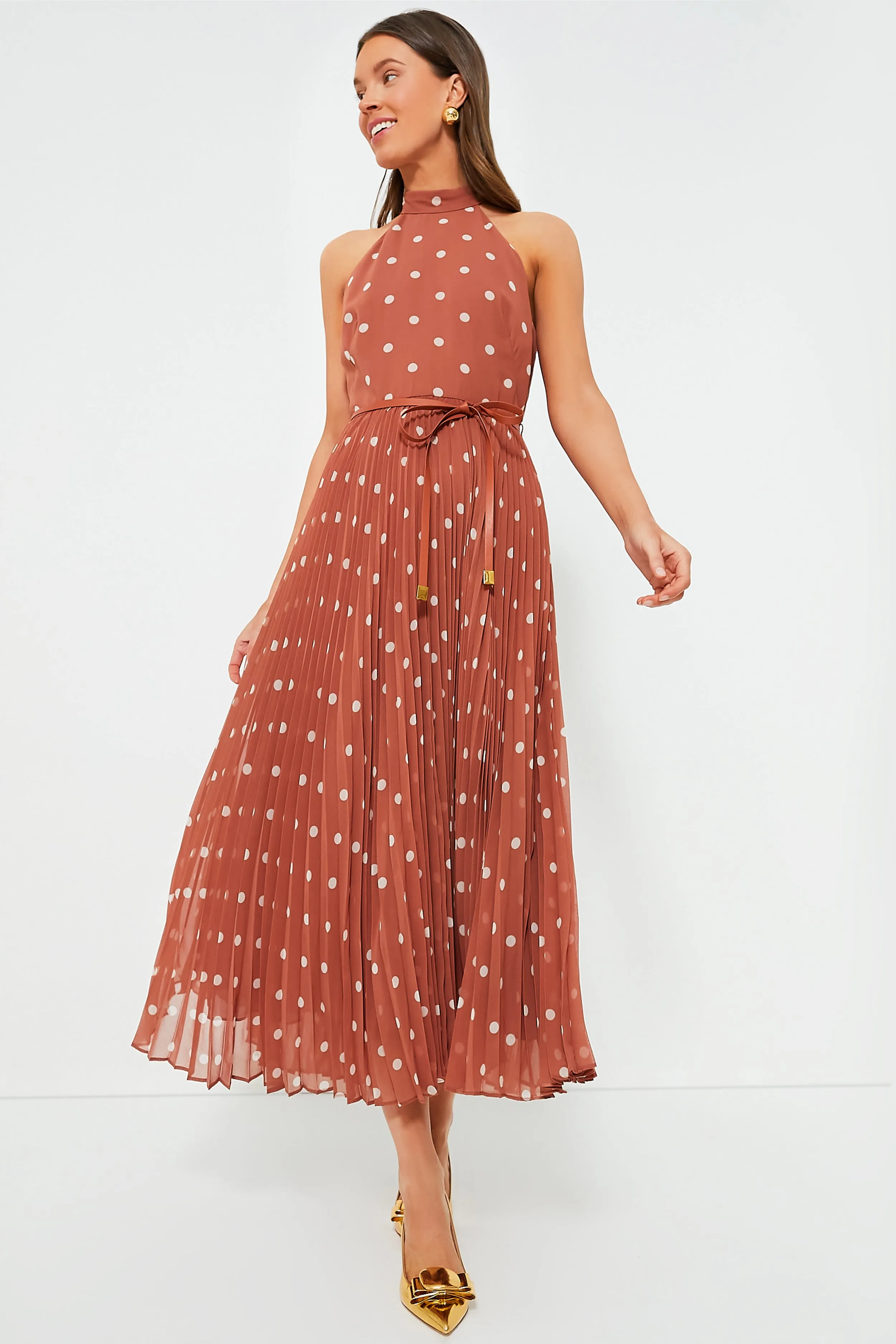 Aragon and Cream Dot Sunray Picnic Dress