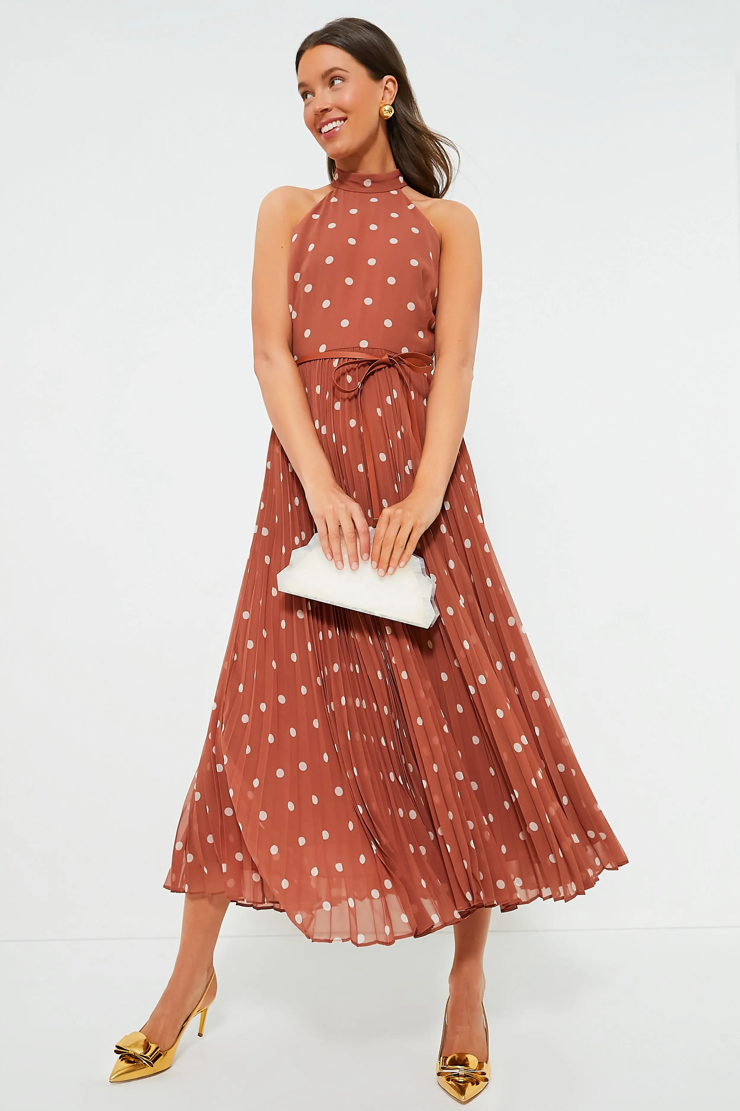 Aragon and Cream Dot Sunray Picnic Dress