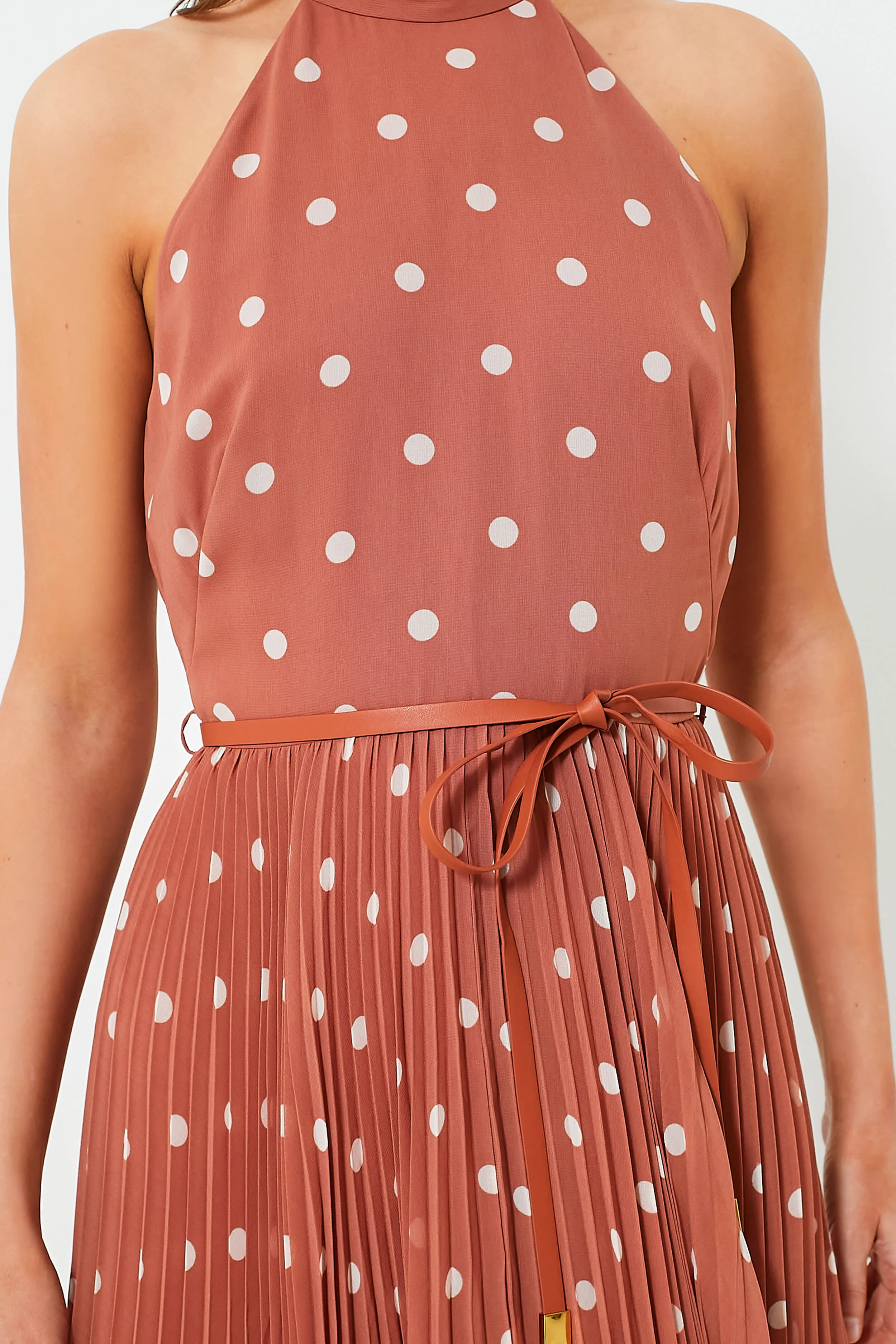 Aragon and Cream Dot Sunray Picnic Dress